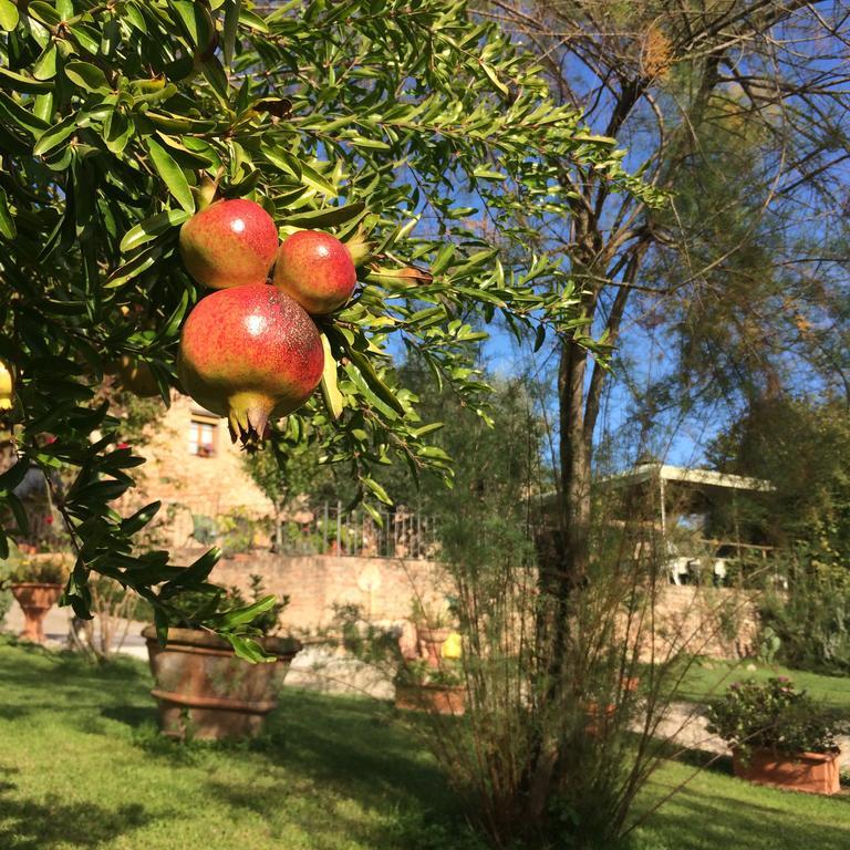 Podere Il Pero Siena Buitenkant foto